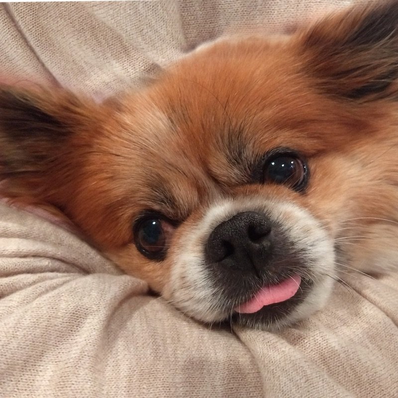 //www.trusttree.com/wp-content/uploads/2019/04/Tyrion-2-1.jpg