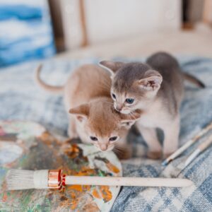 kitty painters