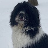 <a href="http://trusttreetrademarks.com/about/">Rufus</a>
